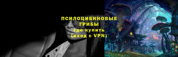 spice Бронницы